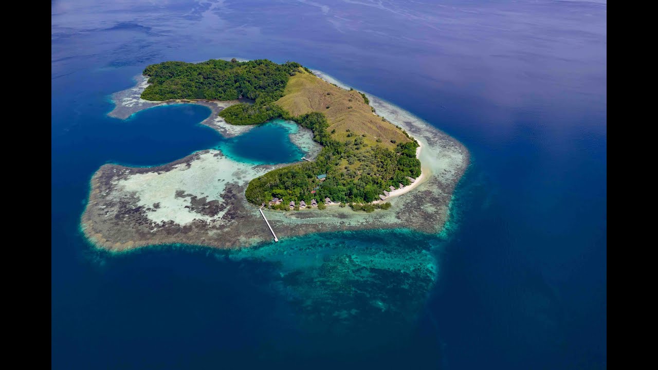 Tauchen on Tour - Gesunde Riffe auf Kusu Island Halmahera