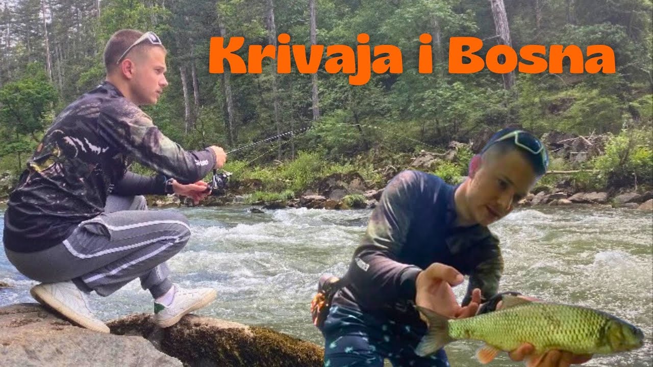 Klenovi sa Krivaje i Bosne. Nove Avanture širom BIH !