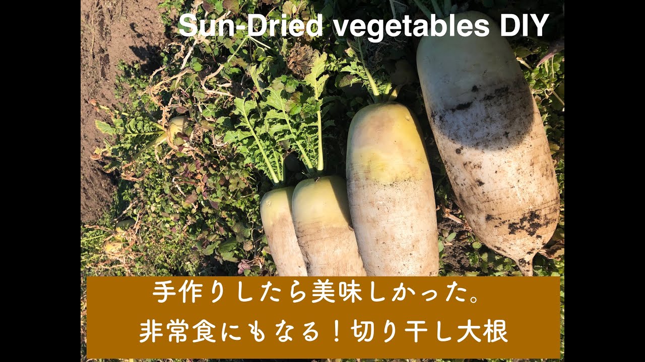 Sun-Dried vegetables DIY 手作りしたら美味しかった。非常食にもなる！切り干し大根の作り方
