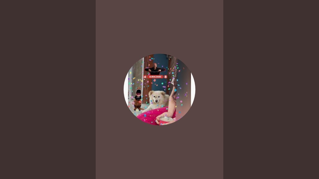 Life with Dogs is live