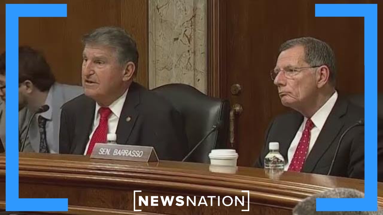 Congress holds hearings on AI risks | NewsNation Live