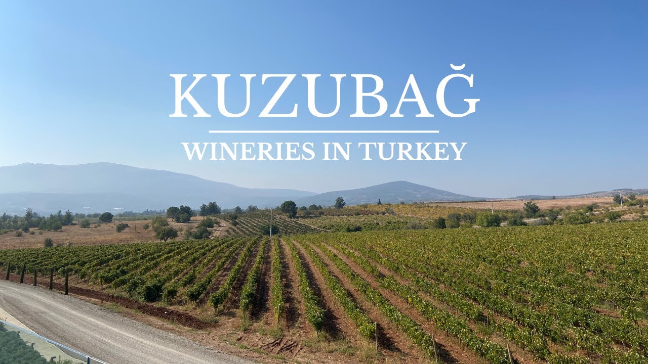 Wineries in Turkey: Kuzubağ