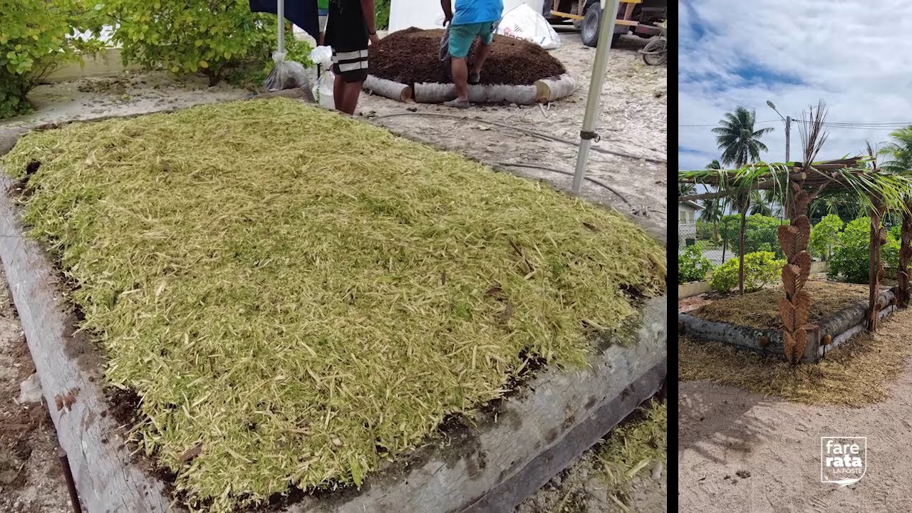MATAIVA | LES JARDINS PARTAGÉS ET PÉDAGOGIQUES DE FARE RATA