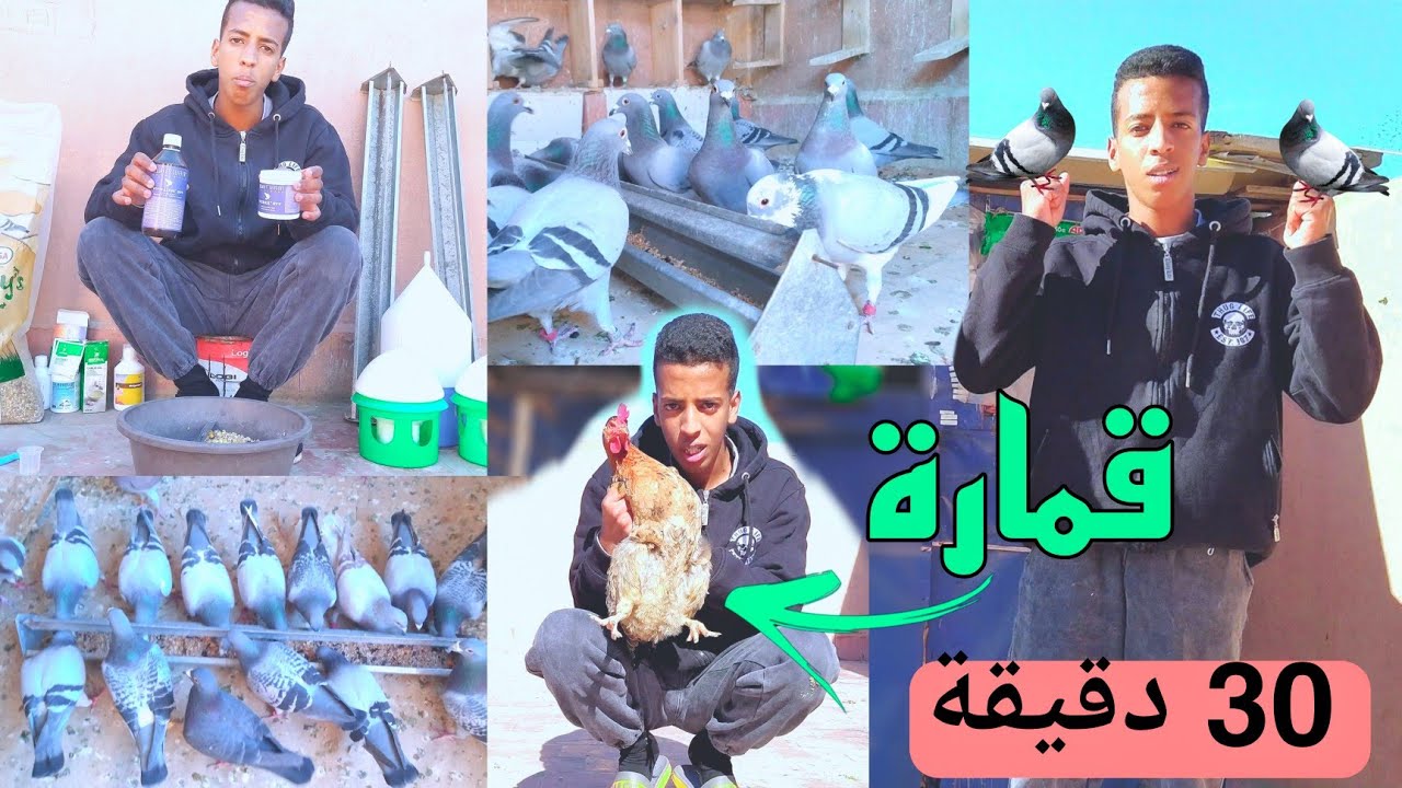 🔥 توليعة في حمام السباق و بعض المكملات🦠 التي أستخدمها + لعبنا مع الدجاجة القمارة 😂