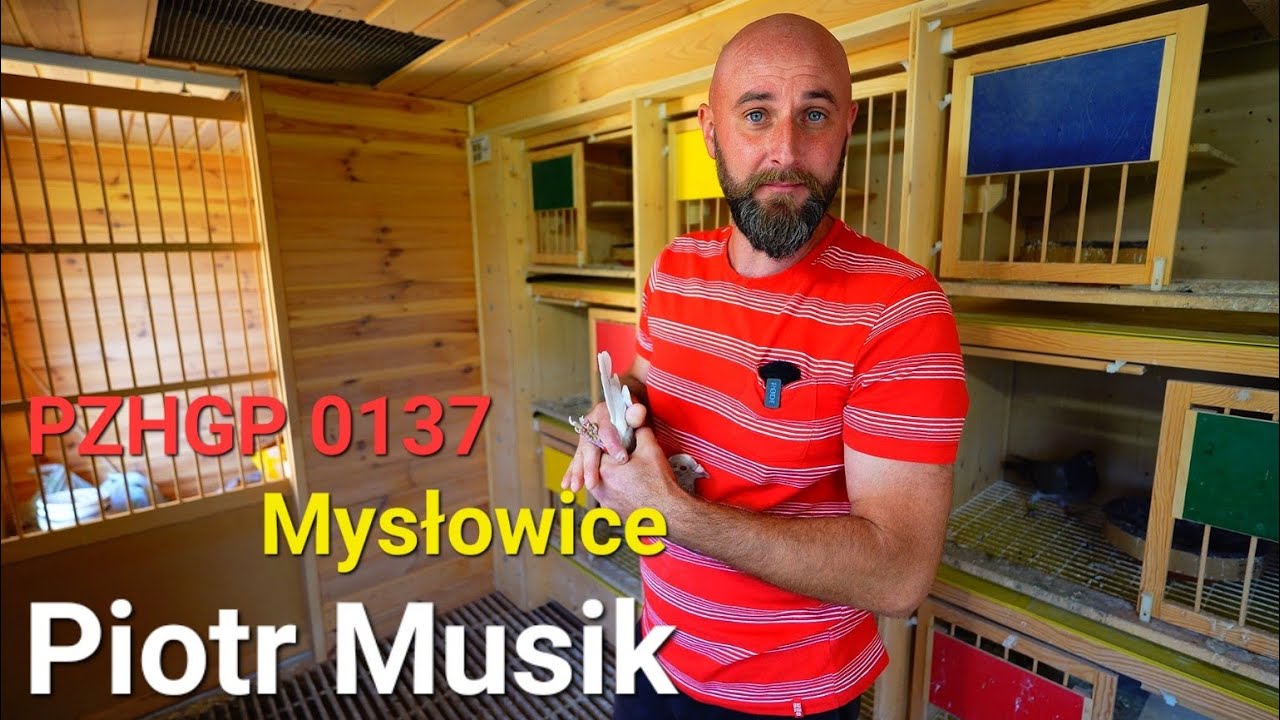 Piotr Musik - PZHGP 0137 Mysłowice / Co tam w sezonie 2023 ? 🇵🇱🤩💪