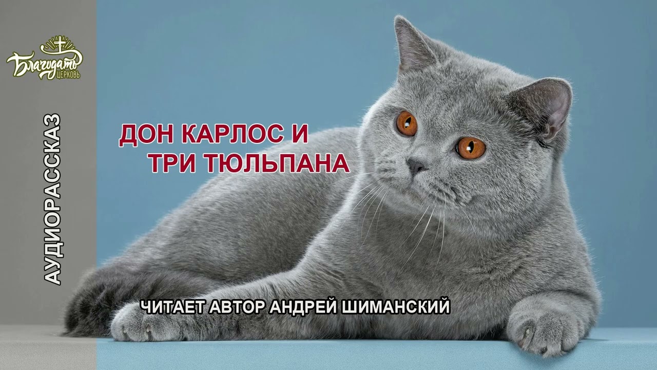 ТРИ ТЮЛЬПАНА - Христианский аудио рассказ