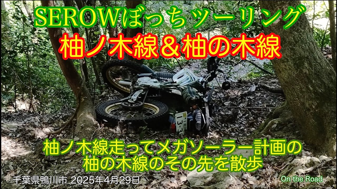 千葉県 林道柚ノ木線＆柚の木線 メガソーラー計画の柚の木線を歩いてみた 2025年4月29日 鴨川市 #serow #off road #japan