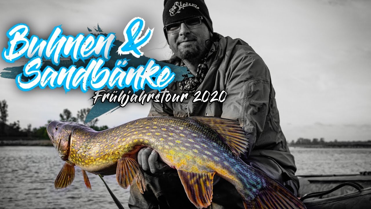 Frühjahrstour 2020 | Angeln auf Wels | Sandbank | Buhnen | Catflorenz