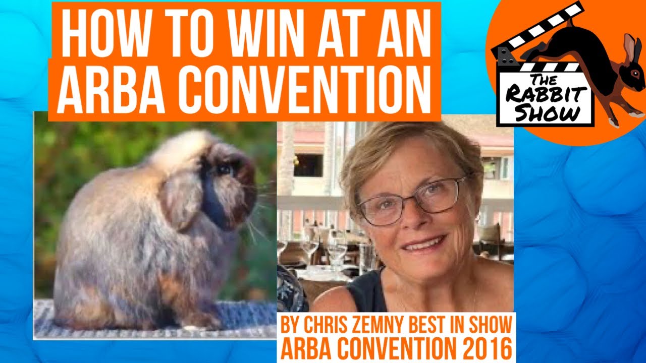 Holland Lops How to win Best in Show at an ARBA Convention. Featuring Chris Zemny BIS