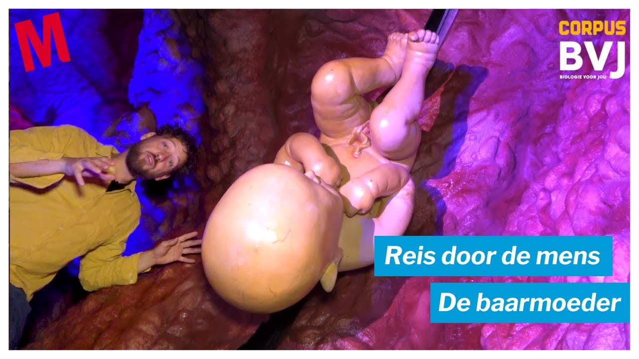 Reis door de mens: de baarmoeder | Biologie voor jou | Malmberg