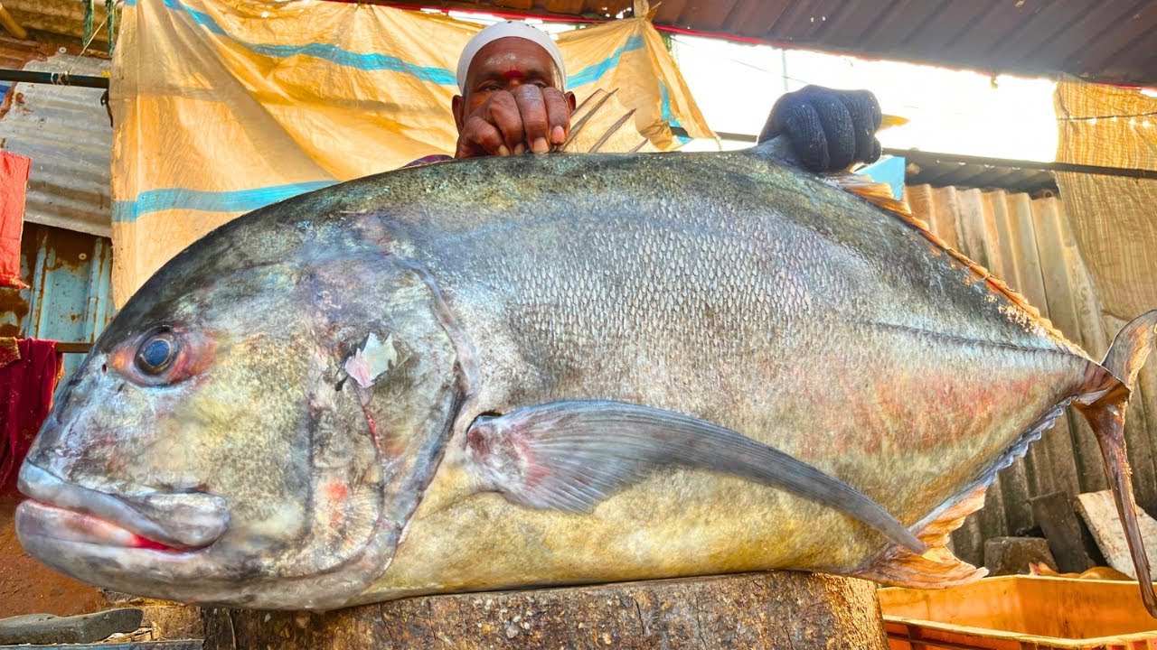 KASIMEDU 🔥 MESATH | GIANTS TREVALLY FISH CUTTING VIDEO | FF CUTTING 🔪