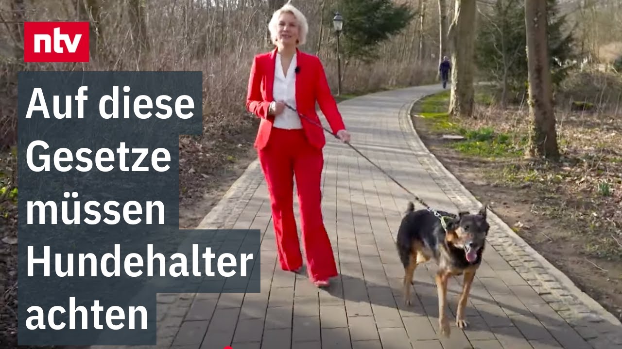 Hundehalter - Auf diese Gesetze m&uuml;ssen sie achten - Von Leinenpflicht bis Haftung