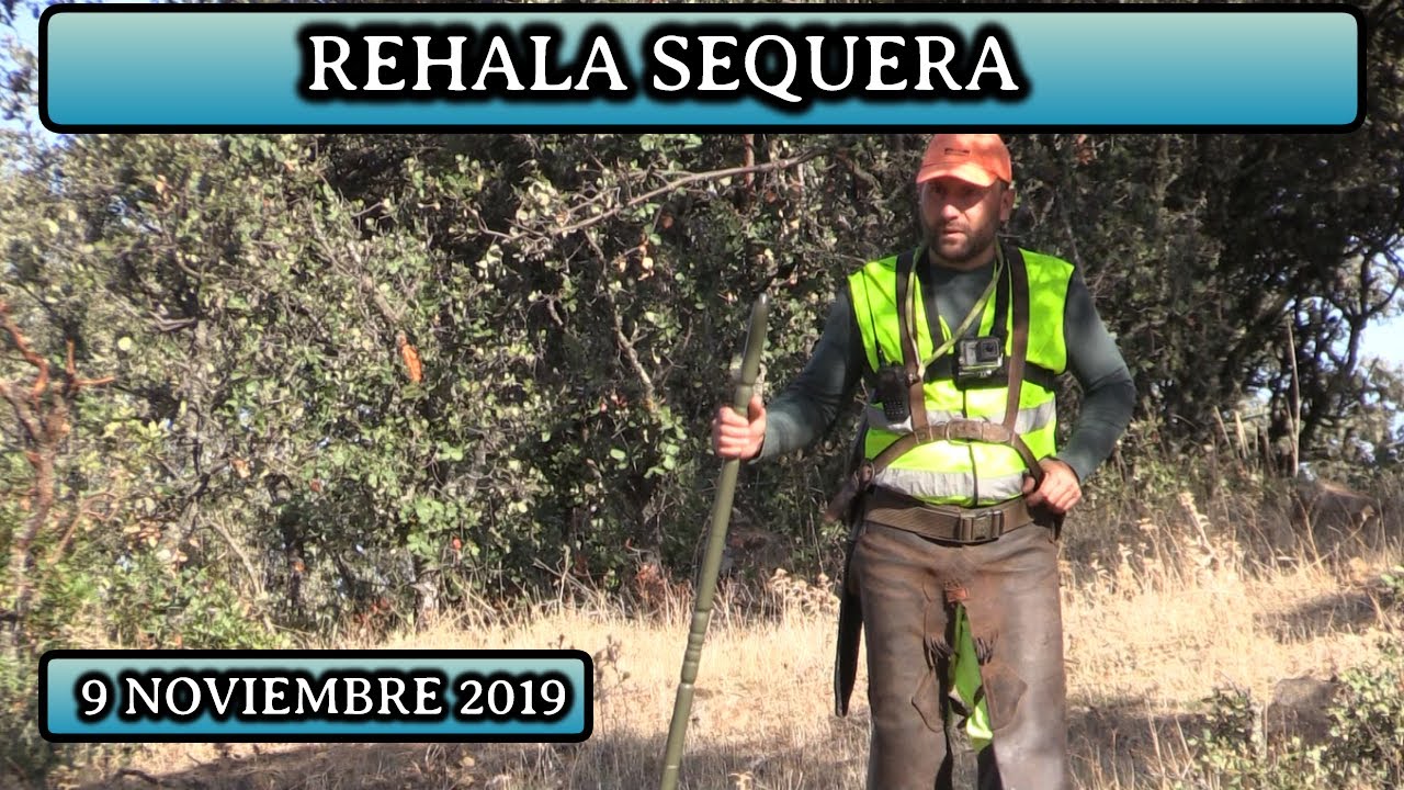 REHALA SEQUERA 2019 | MONTERÍA en Andújar