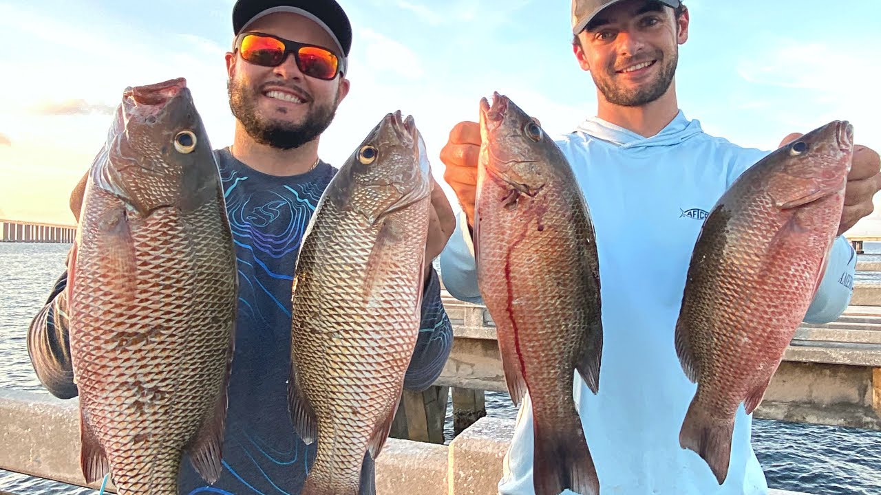 Skyway Fishing Pier Mangrove Snapper Catch & Cook