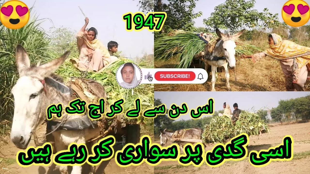 1947 سے لے کر اج تک ہم اسی گدھے کی سواری کر رہے ہیں🤔🙏🙏
