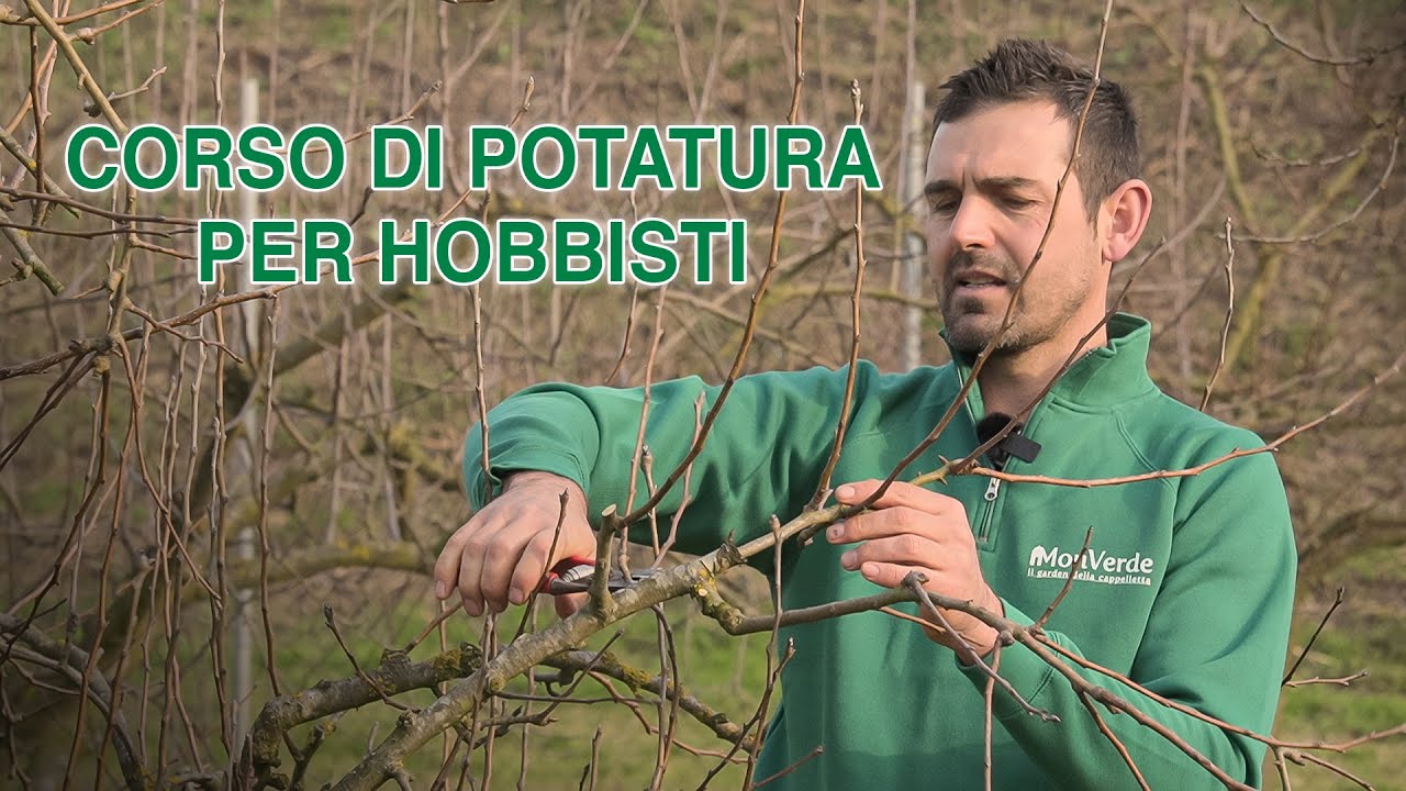 POTARE ALBERI DA FRUTTO | Corso di potatura alberi da frutto per hobbisti - allevamento e produzione
