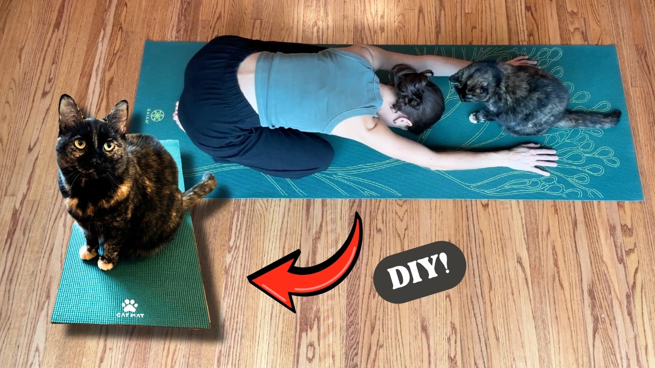 I made a yoga mat for my CAT (so she leaves mine alone)| Easy DIY cat toy