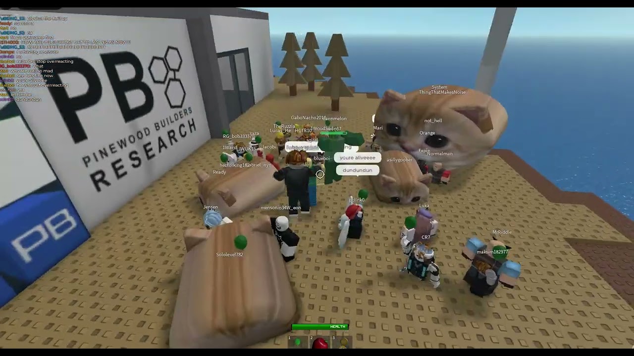 Recording 2026 01 03 roblox 6