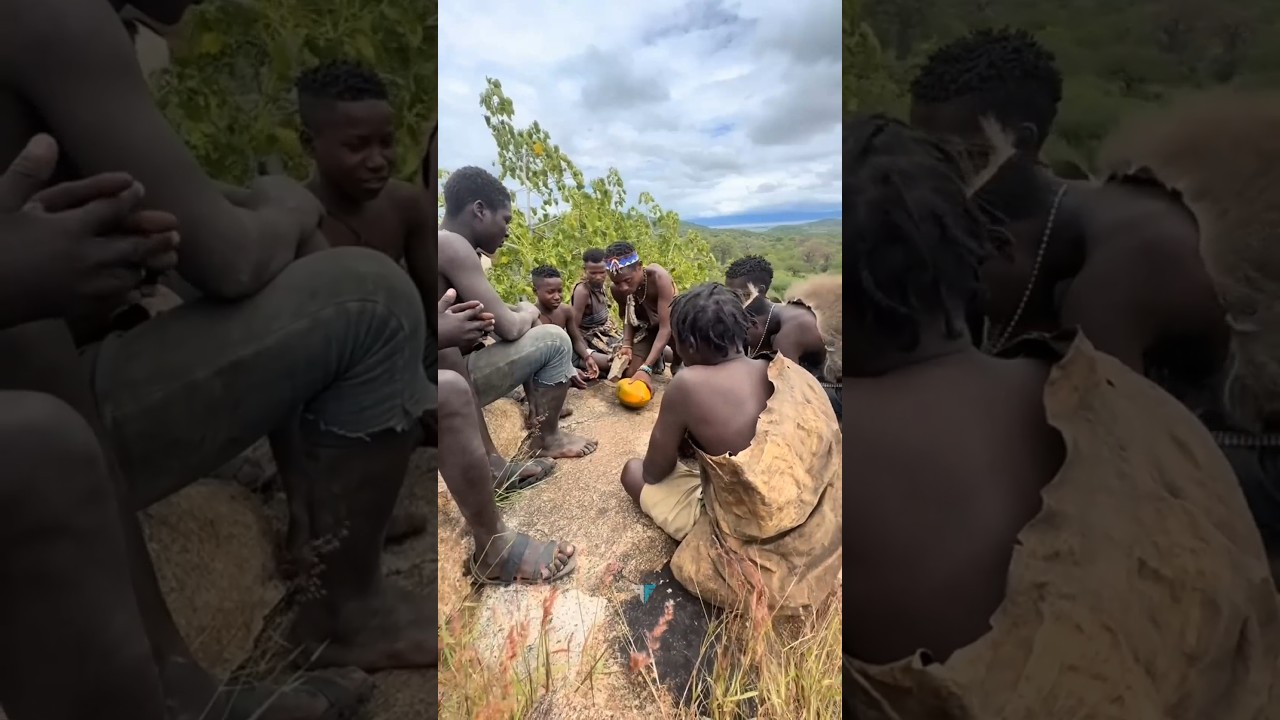 Why Is Corn So Important in Tribal Communities? #triballife #tribalunity #viral #gk #animals