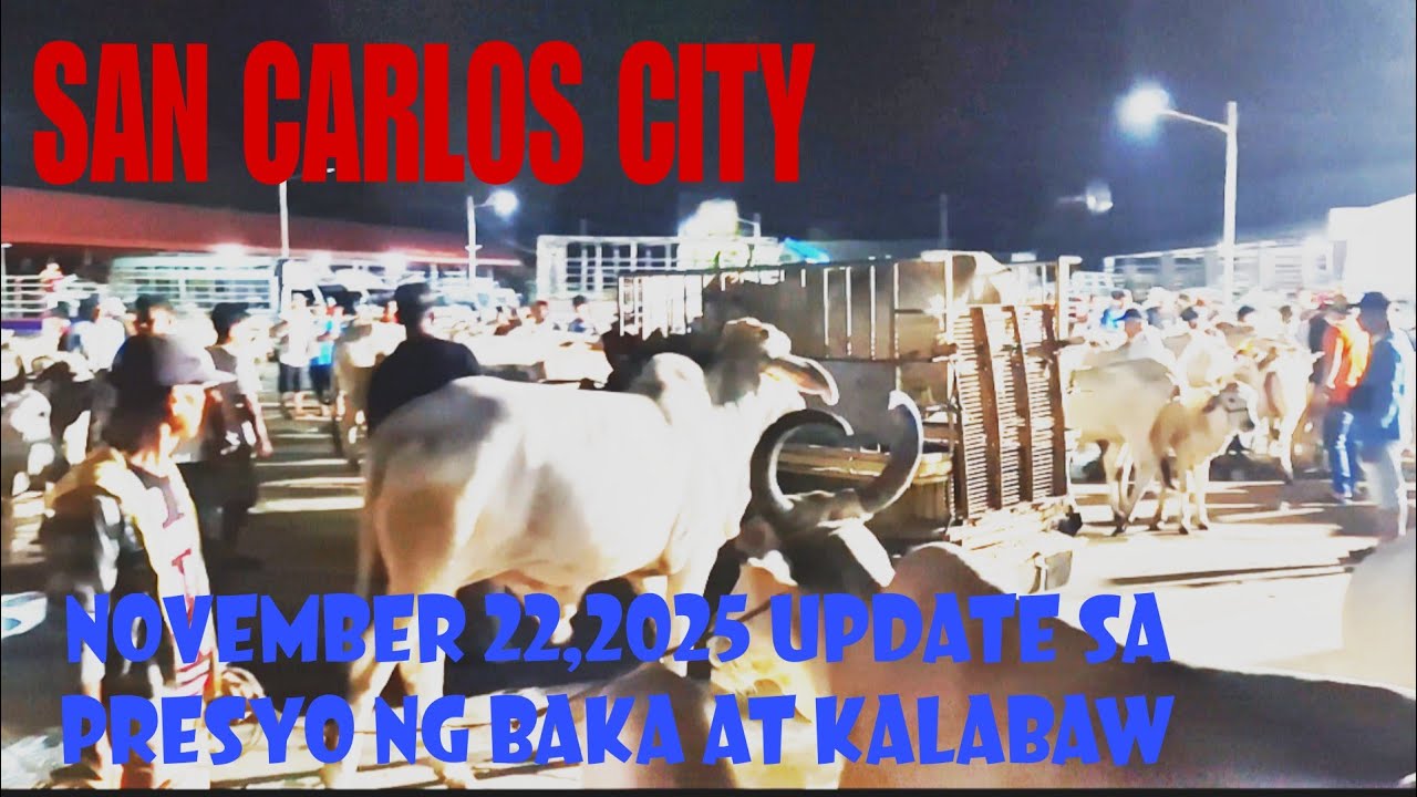 November 22,2025 Update sa Presyo ng Baka sa San Carlos City Livestock Market #marketday #cow
