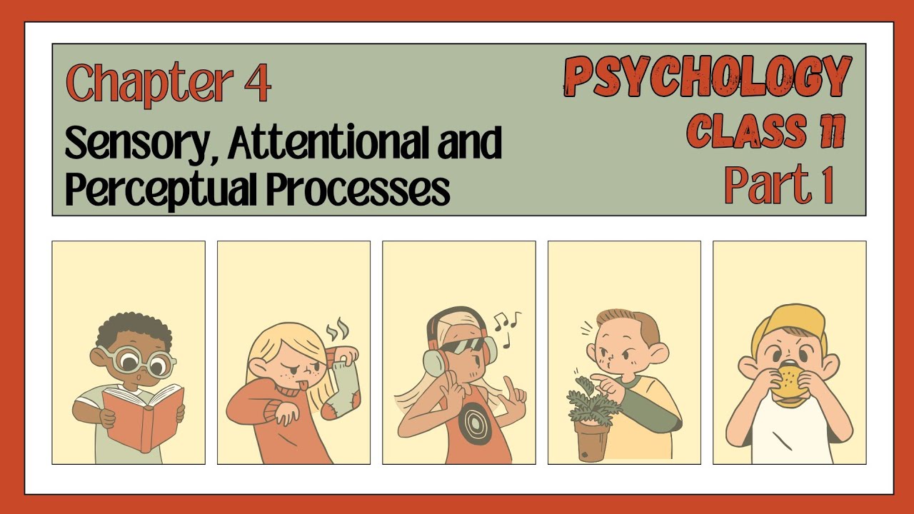 Class 11 Psychology chapter 4 Sensory, Attentional and Perceptual Processes | Part 1