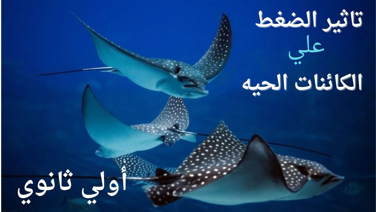 شرح الدرس التاسع تأثير الضغط #علوم_متكاملة#الصف_الاول_الثانوي