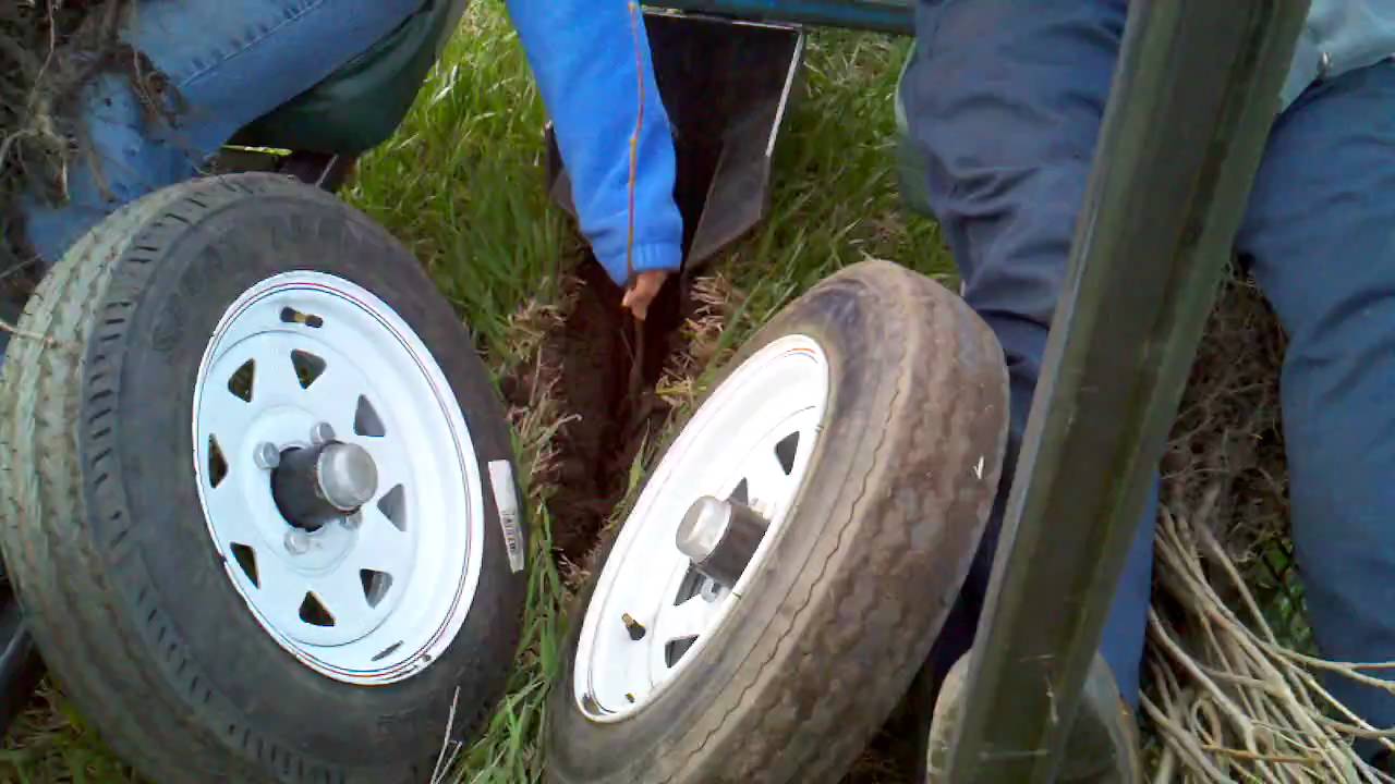 tree planting