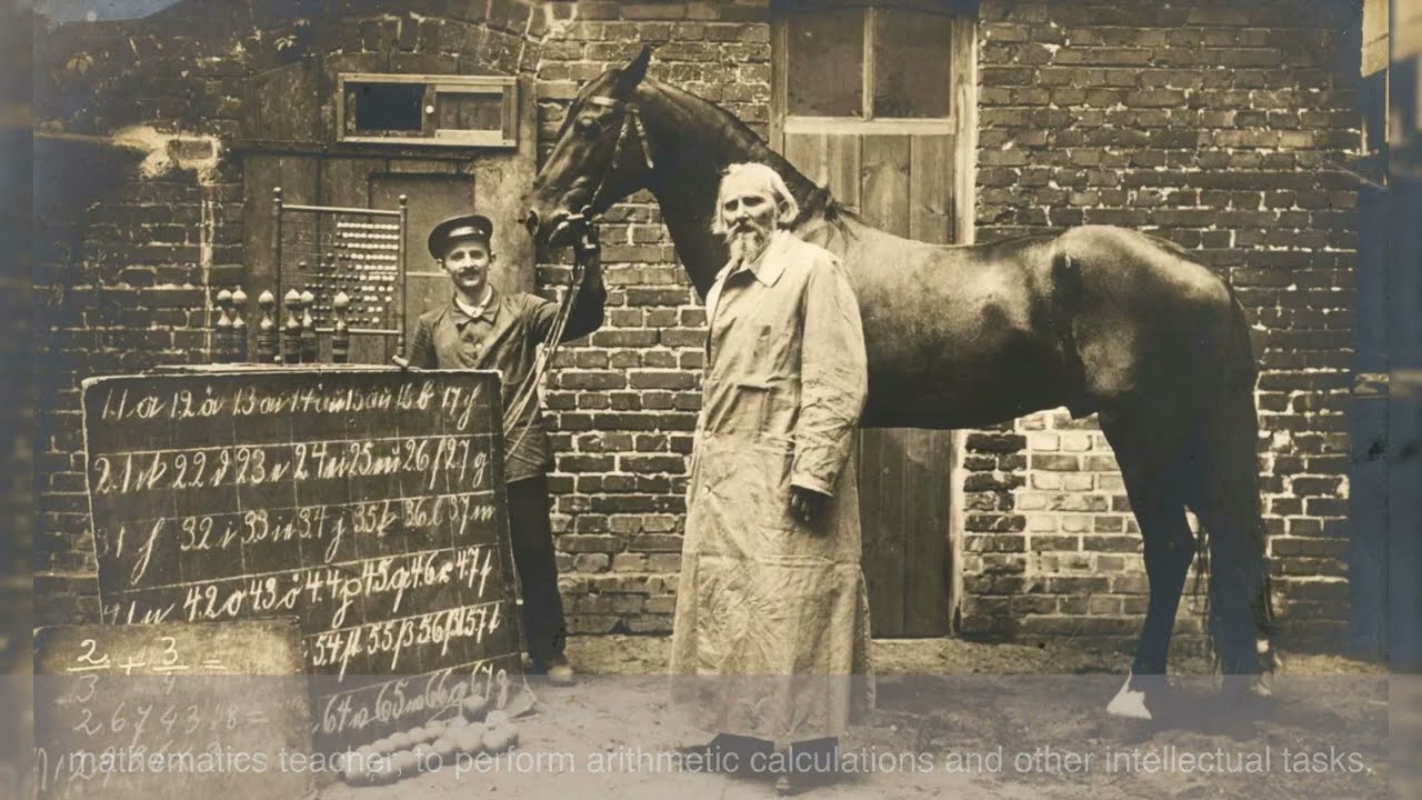 Clever Hans | Smartest Horse?