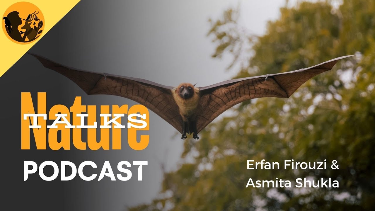 В компании летучих мышей: Беседа с Асмитой Шуклой