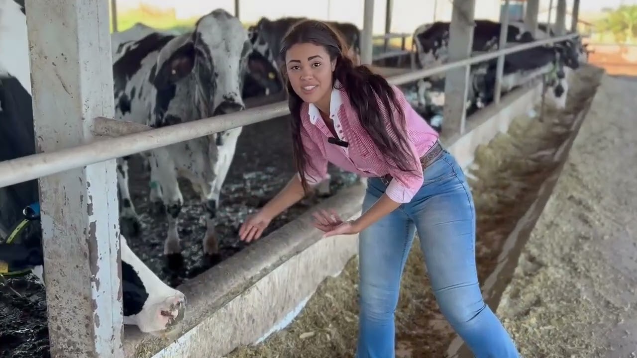 Vídeo Fazenda Buriti Cumprido - Capinópolis