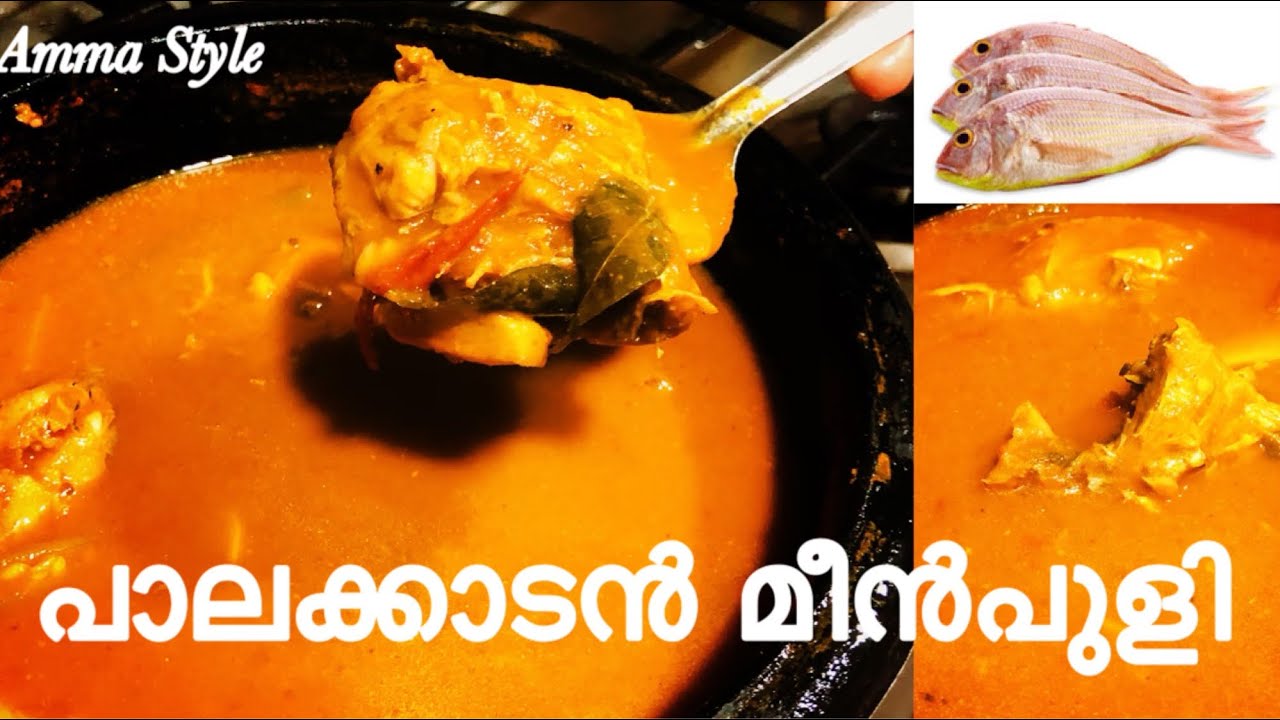 പാലക്കാടൻ മീൻപുളി // Palakkadan Fish curry // Recipe 182