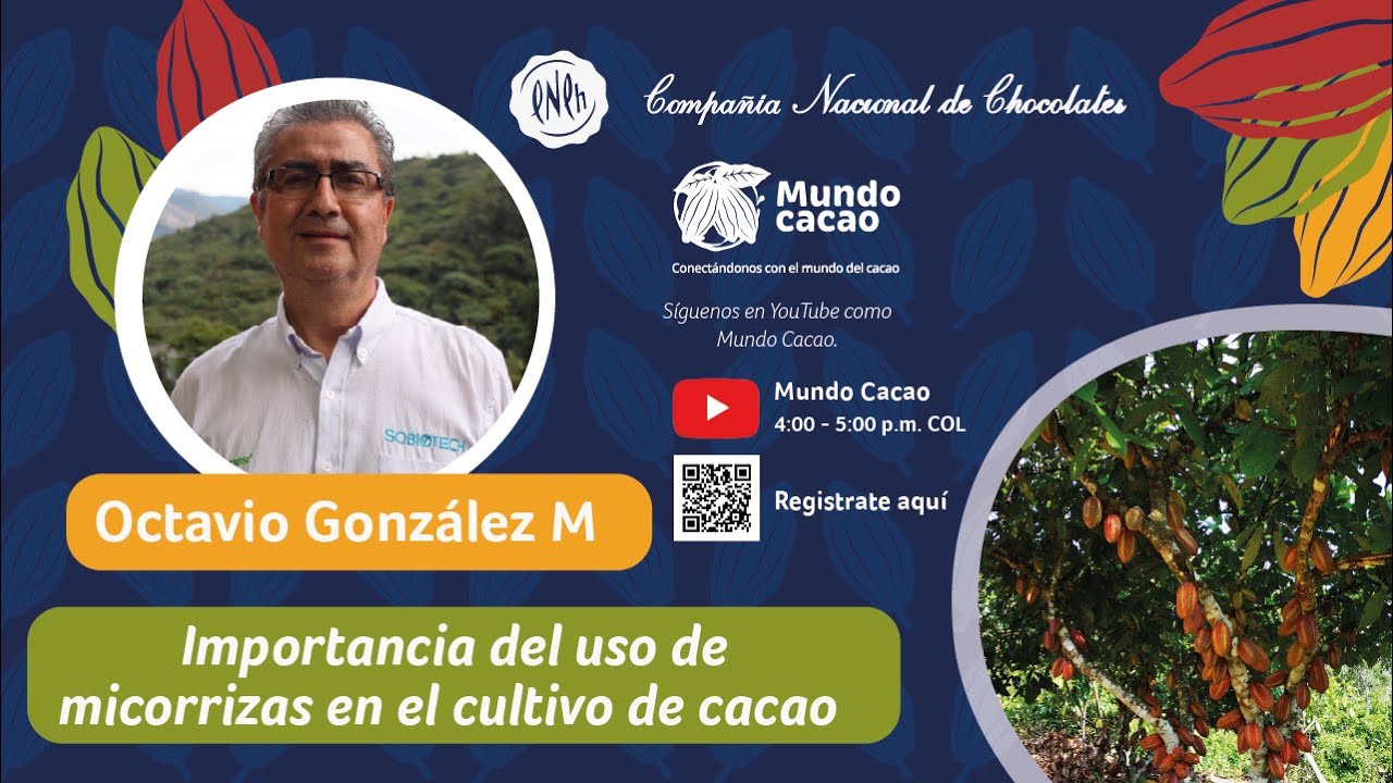Charlas virtuales:   Importancia del uso de micorrizas en el cultivo de cacao