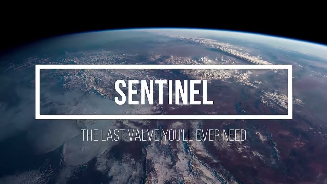 Crane Nuclear Sentinel Valve