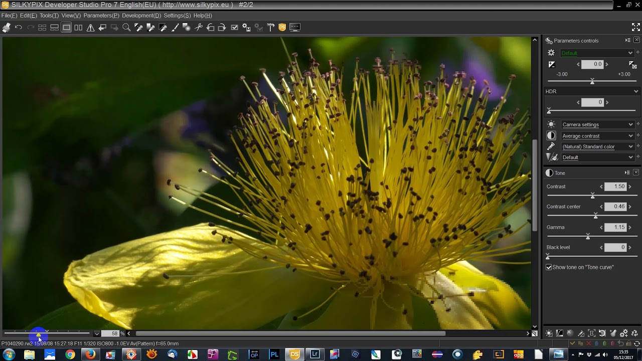 Adjusting Highlights and Shadows in Silkypix