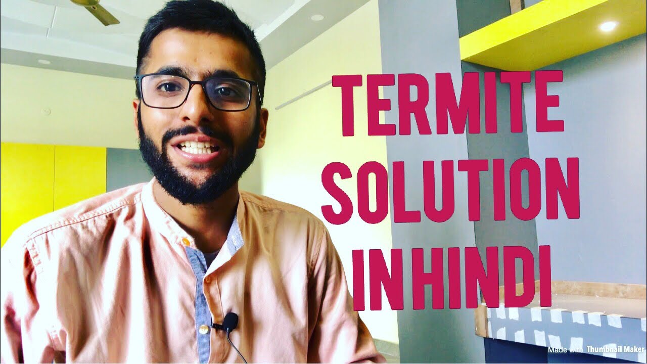 what is termite and its solution in hindi