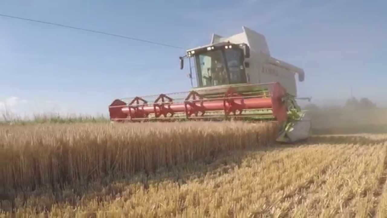 [GOPRO] Moisson 2015/ Harvest 2015 Claas Lexion 570 et V750 (DJI Phantom 2)