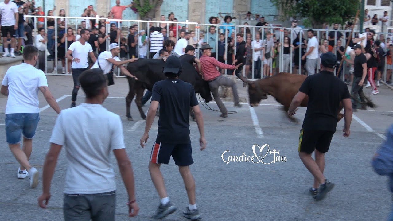 Encierro - LUNEL VIEL - 30.06.2024