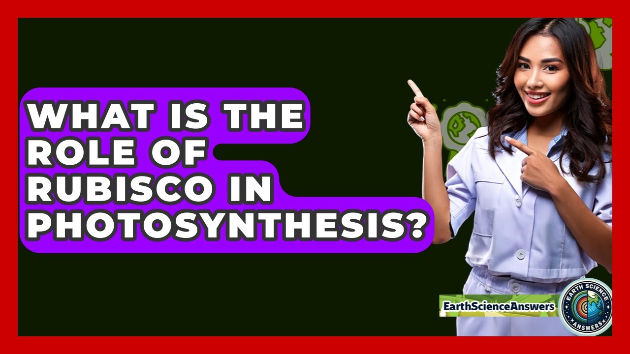 What Is The Role Of Rubisco In Photosynthesis? - Earth Science Answers