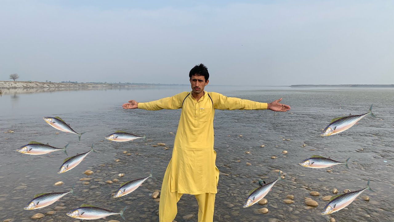 Fish Ka Shikaar ❤️ // Episode 2 // Machli Ka Shikaar 🐟