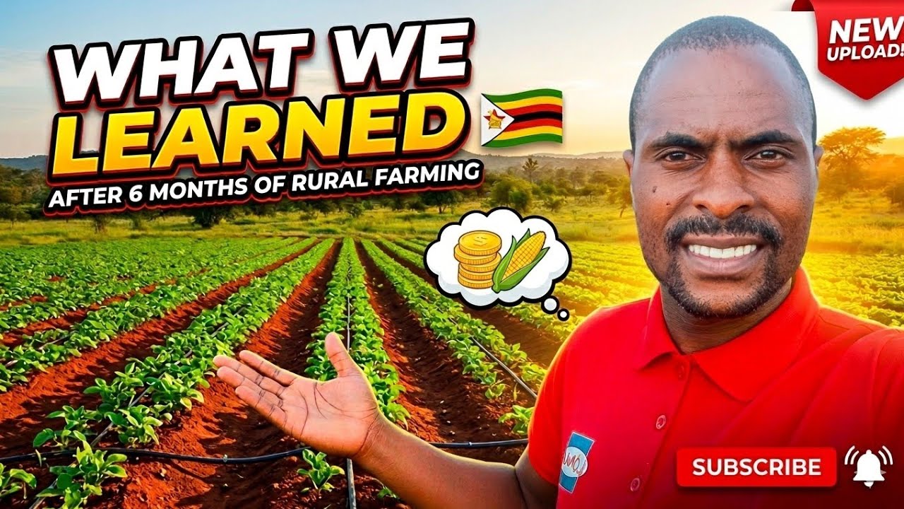 What We Learned After 6 Months of Rural Farming 🇿🇼