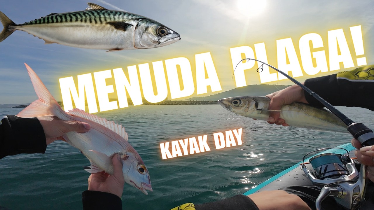 Pesca en Kayak en Zierbena 🚣&zwj;♂️ | &iexcl;Sacamos de TODO! 🐟🐙 (D&iacute;a 3)