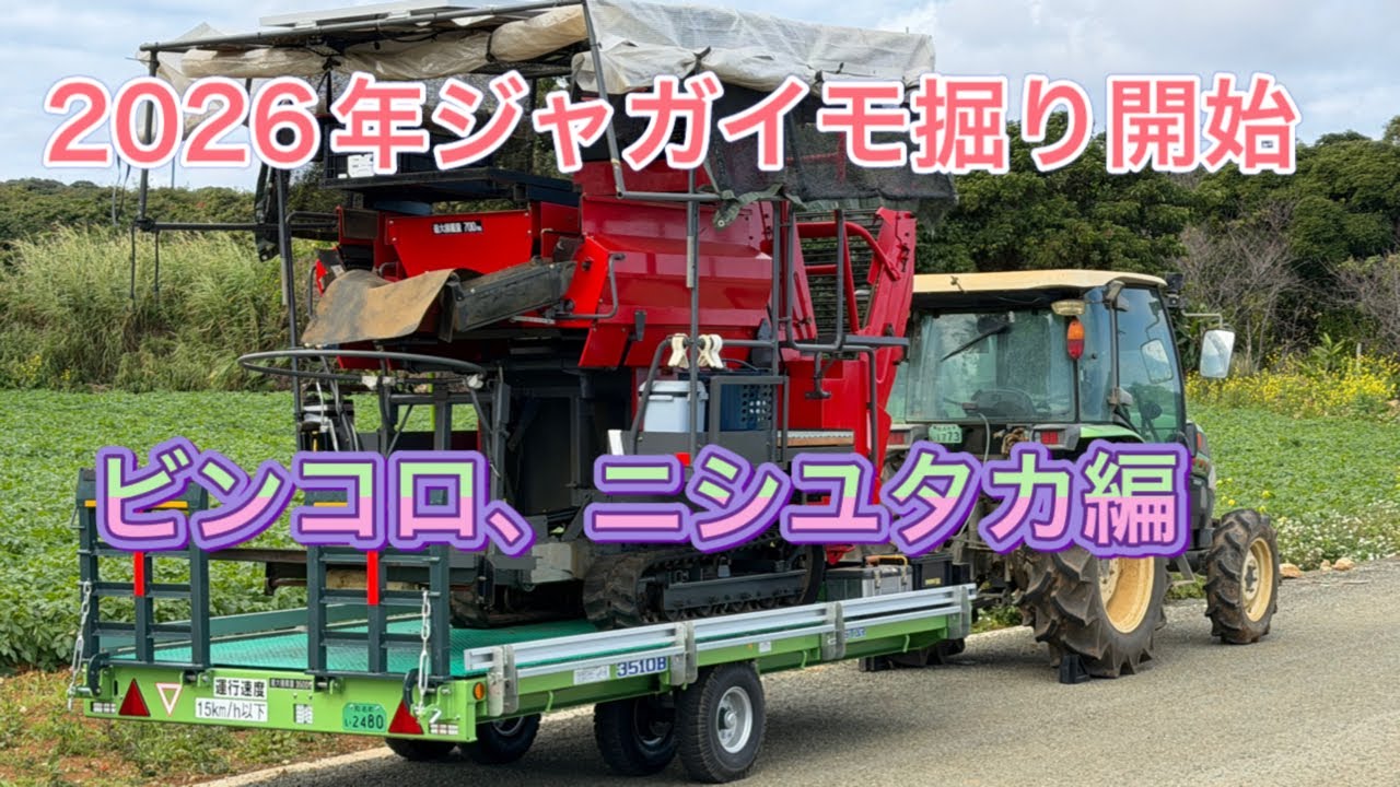2026年ジャガイモ掘り取り開始