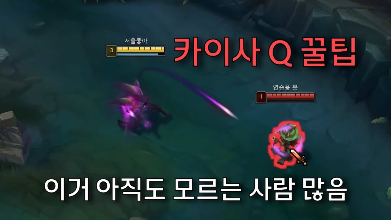 잘하는 카이사 vs 못하는 카이사 / 이걸로 나눠집니다