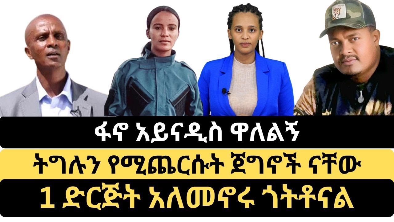 ትግሉን የሚጨርሱት ጀግኖች ናቸው | 1 ድርጅት አለመኖሩ ጎትቶናል | አፍታ ቆይታ ከፋኖ አይናዲስ ዋለልኝ ጋር