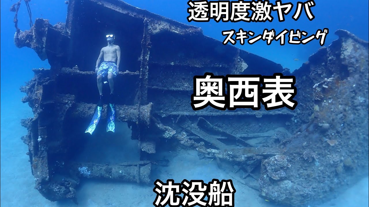 【西表島】奥西表島 沈没船 透明度抜群サンゴ礁モリモリポイントでスキンダイビング！