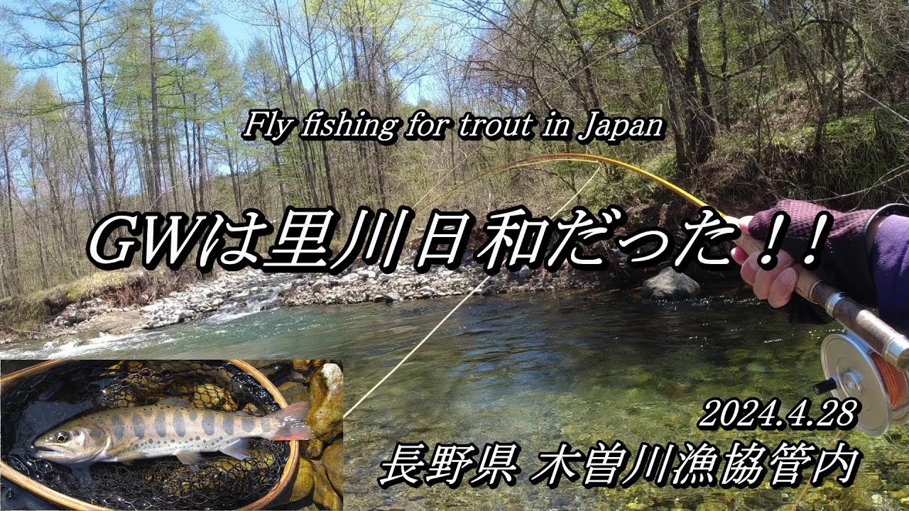 GWを楽しもう！ 木曽の里川で渓魚と遊ぶ～ (^^♪ 【 フライフィッシング バンブーロッド 渓流釣り 長野県 木曽川 】