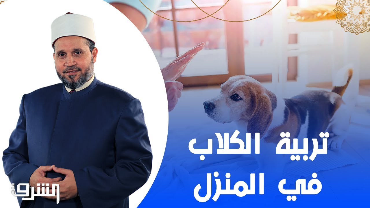 ما حكم تربية الكلاب في المنزل لغرض الزينة !.. شاهد الحكم الشرعي مع د.سلامة عبدالقوي