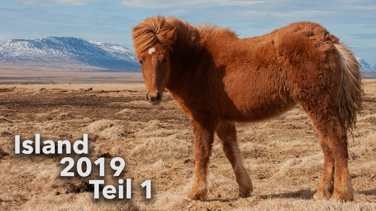 I believe, I believe we can write our story. | Island 2019 | Janas ViLögg