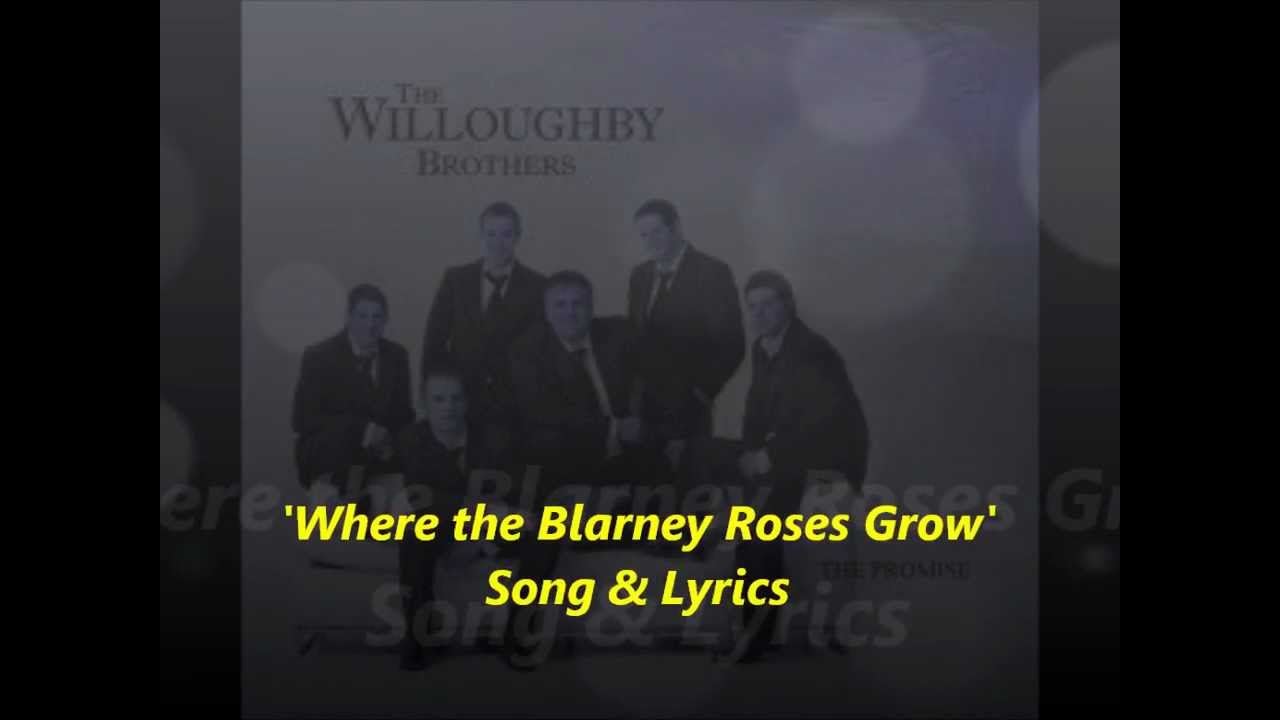 The Willoughby Brothers:Lyrics:Where the Blarney Roses Grow