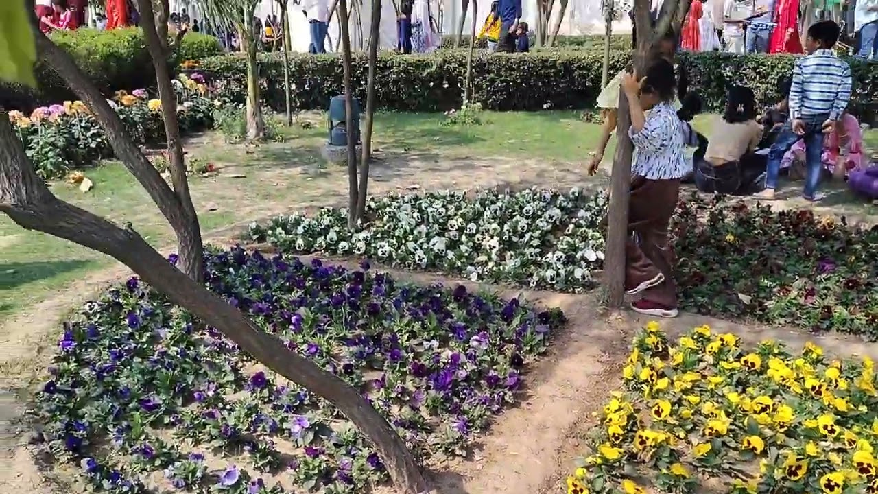 Flower show in noida. Beautiful......🌹💐